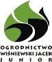 Wiśniewski Jacek Junior - cebulki kwiatowe Cebulki kwiatowe - Wiśniewski Junior