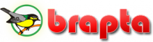 Brapta - pokarm dla ptaków karma dla ptaków dziko żyjących
